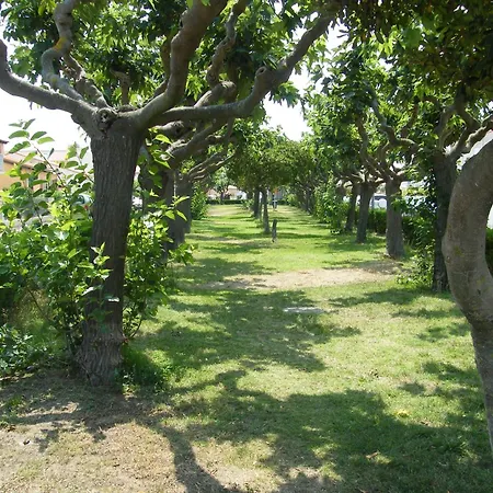 Soleil Catalan Ok Cheques Animaux Rdc 150m 4pers Wifi 2ch * Saint-Cyprien (Pyrenees-Orientales)